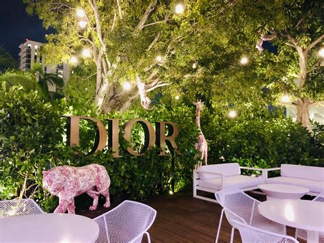 dior cafe miami fotos|dior's rooftop cafe Miami.